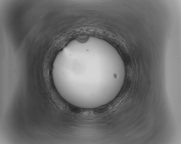 X0000116561489200912171358