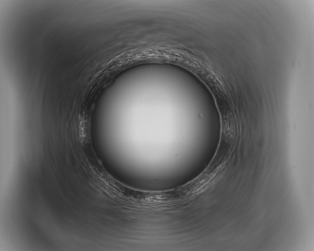 X0000116561490200912171358