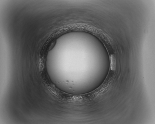 X0000116561491200912171358