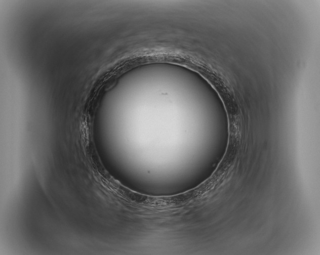 X0000116561493200912171358