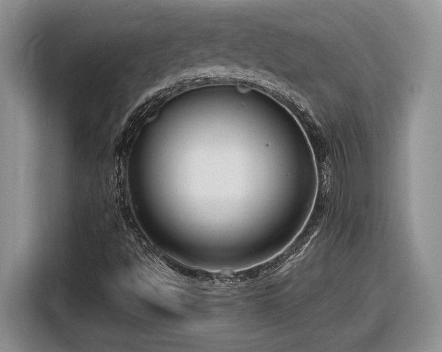 X0000116561494200912171358