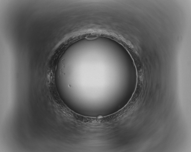 X0000116561495200912171358