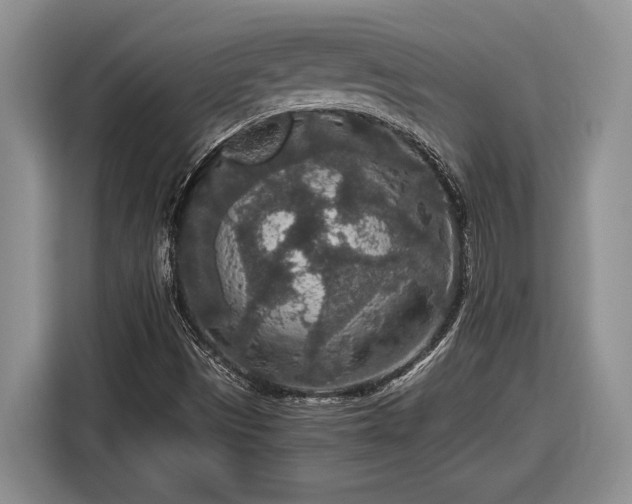 X0000116561497200912171358