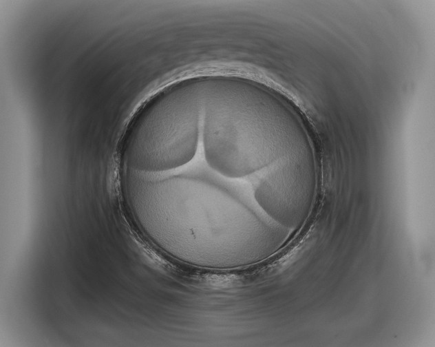 X0000116561498200912171358