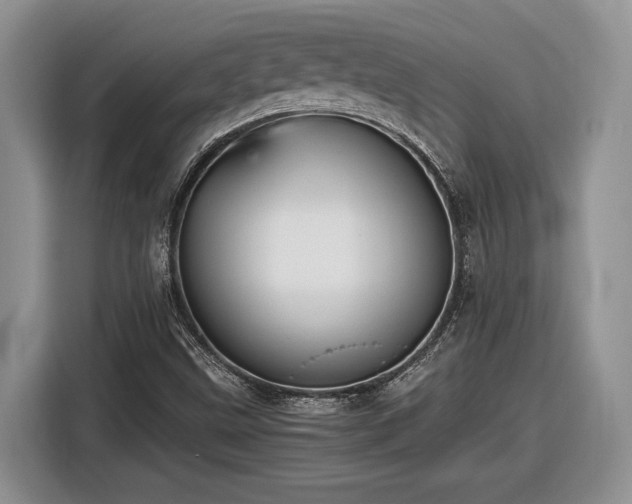 X0000116561499200912171358