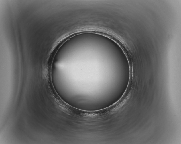 X0000116561501200912171359