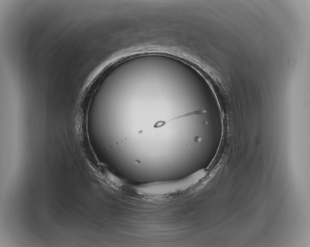 X0000116561502200912171359