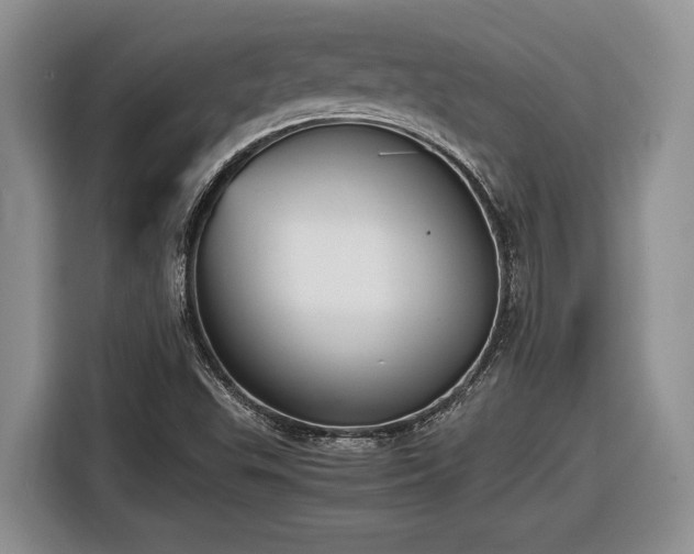 X0000116561503200912171359