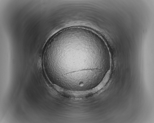 X0000116561505200912171359