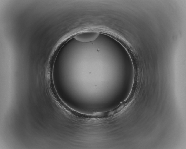 X0000116561506200912171359