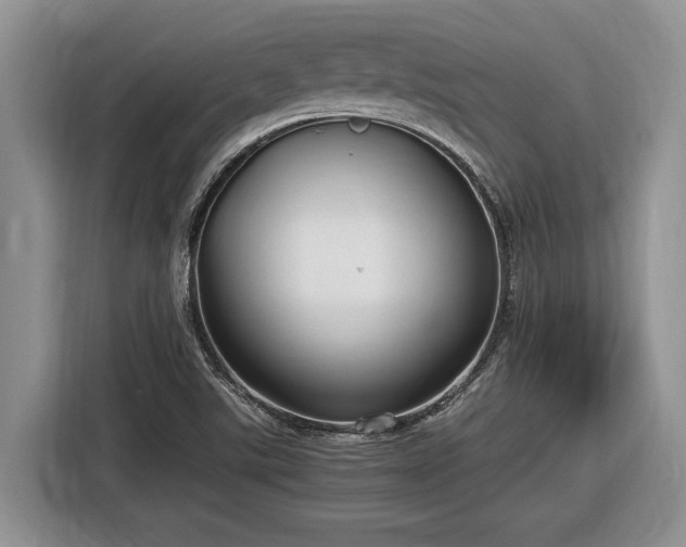 X0000116561507200912171359