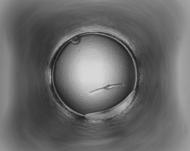 X0000116561509200912171359