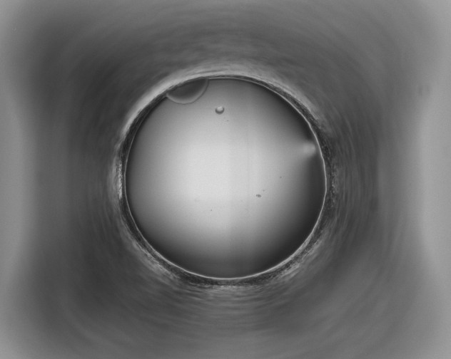 X0000116561510200912171359