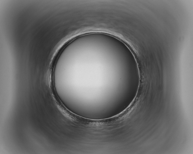 X0000116561511200912171359