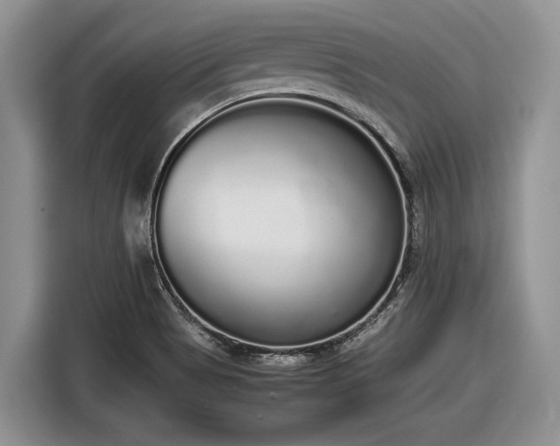 X0000116561513200912171359