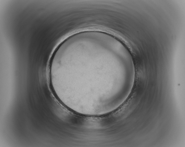 X0000116561514200912171359