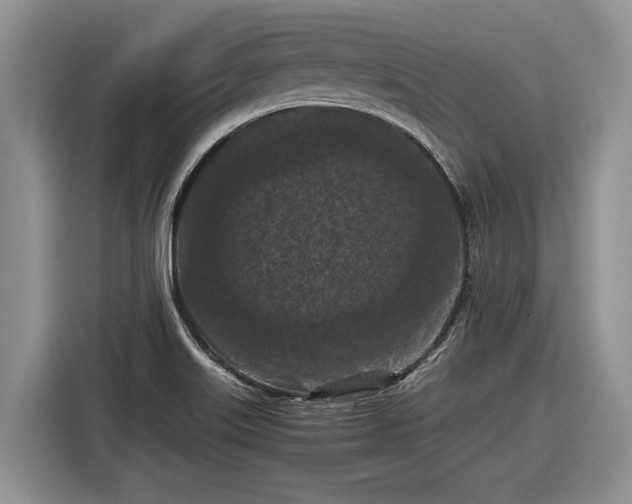 X0000116561515200912171359