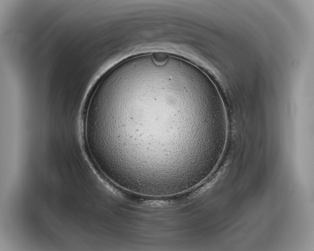 X0000116561517200912171359