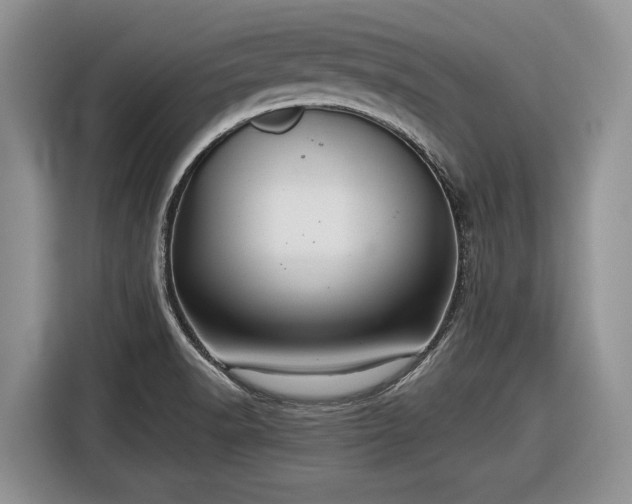 X0000116561518200912171359