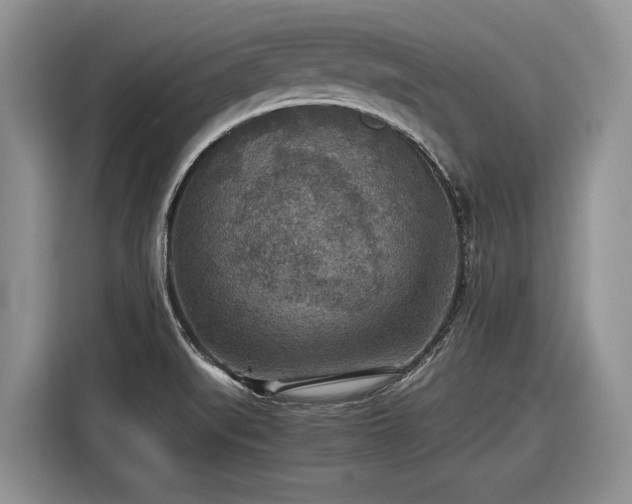 X0000116561519200912171359