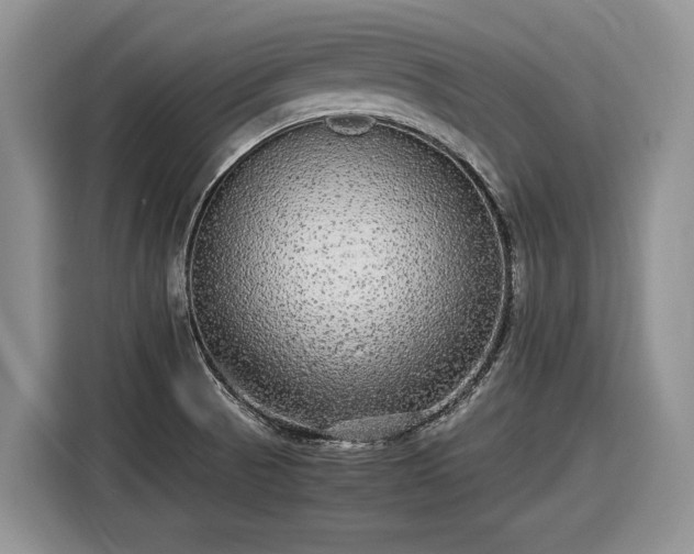 X0000116561521200912171359