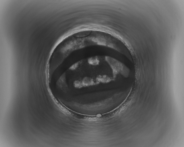 X0000116561522200912171359