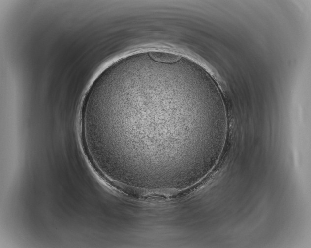 X0000116561523200912171359