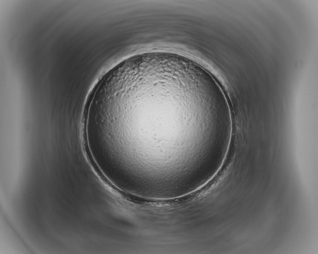 X0000116561525200912171359