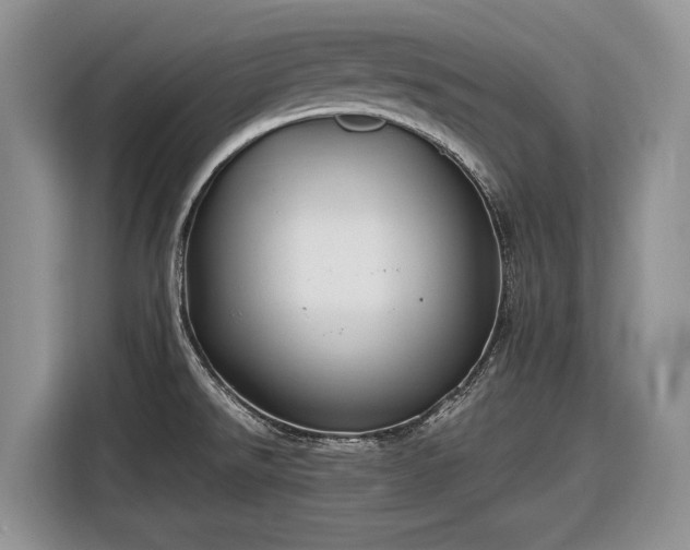 X0000116561526200912171359