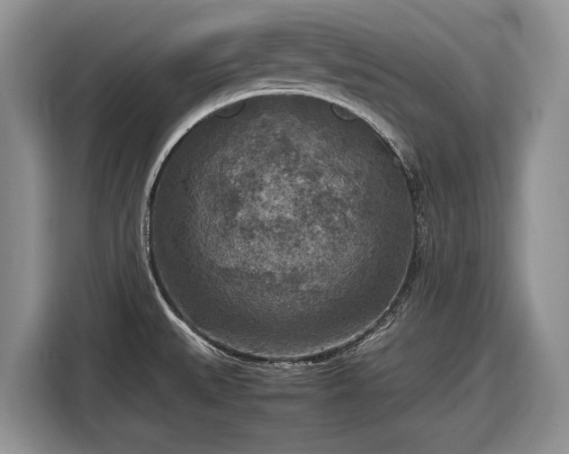 X0000116561527200912171359