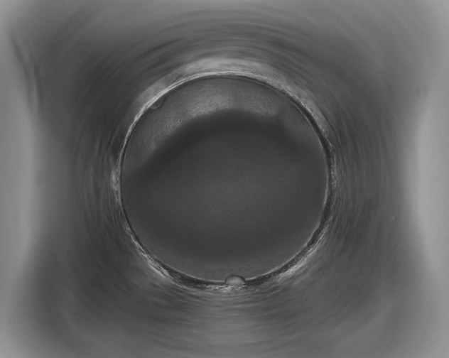 X0000116561529200912171359