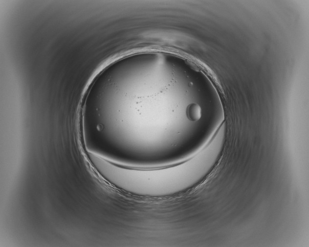 X0000116561530200912171359