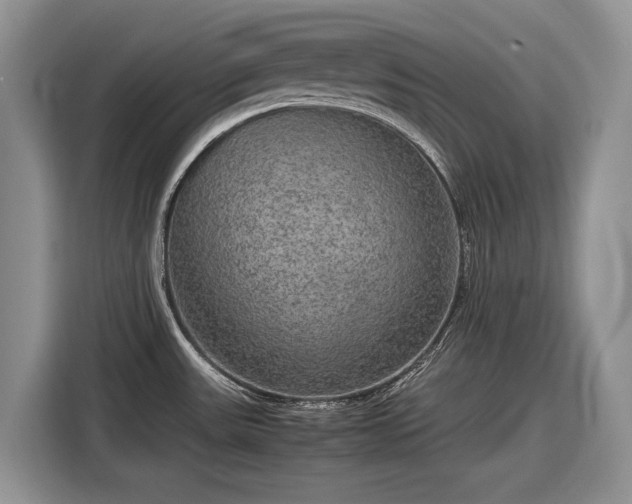 X0000116561531200912171359