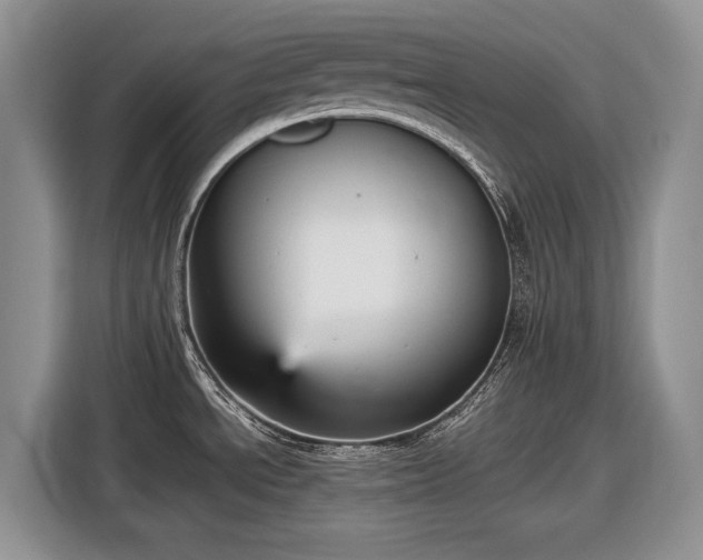 X0000116561534200912171359