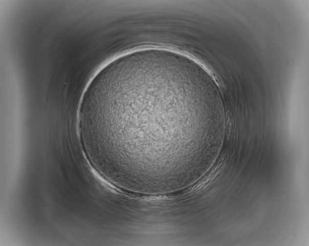 X0000116561535200912171359