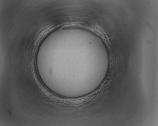 X0000116560001200912241624