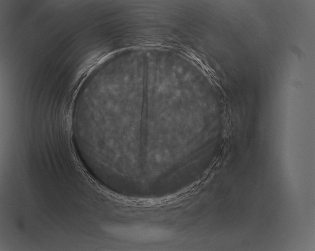 X0000116560002200912241624