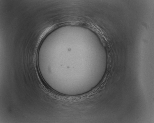 X0000116560003200912241624