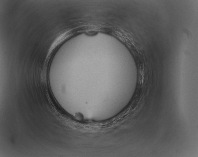 X0000116560004200912241624