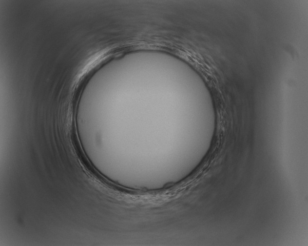 X0000116560005200912241624