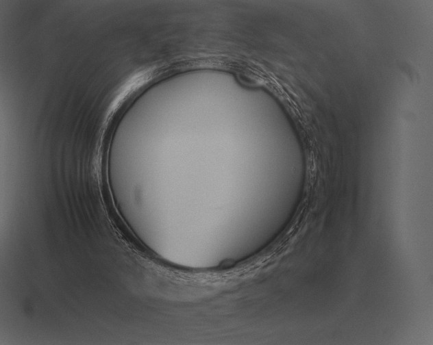 X0000116560006200912241624