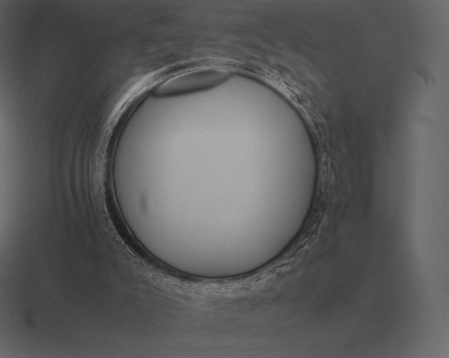 X0000116560007200912241624