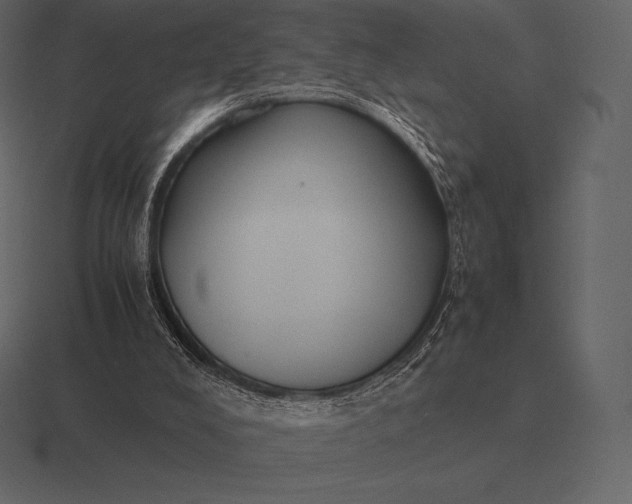 X0000116560008200912241624