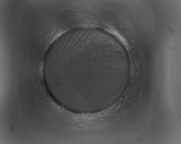 X0000116560009200912241624