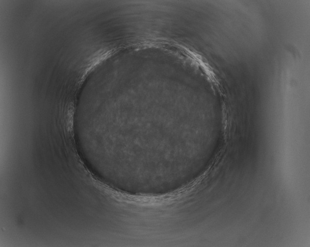 X0000116560010200912241623