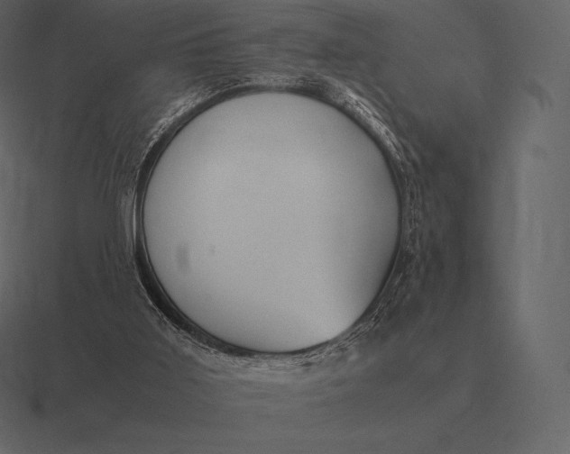 X0000116560011200912241623