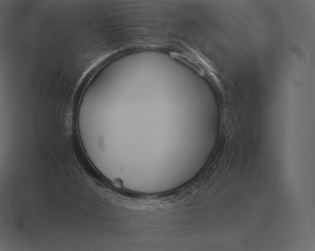 X0000116560012200912241623