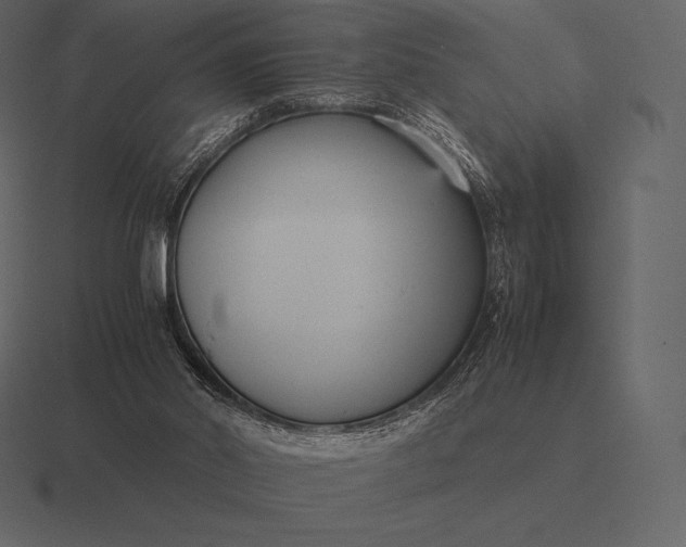 X0000116560014200912241623