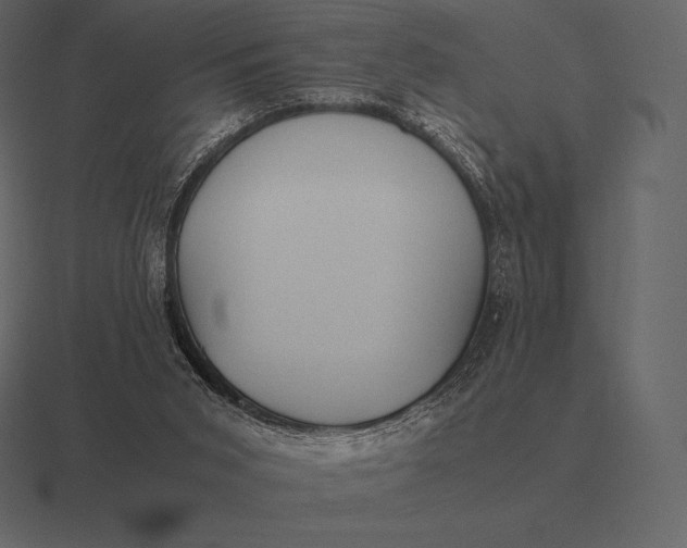 X0000116560015200912241623