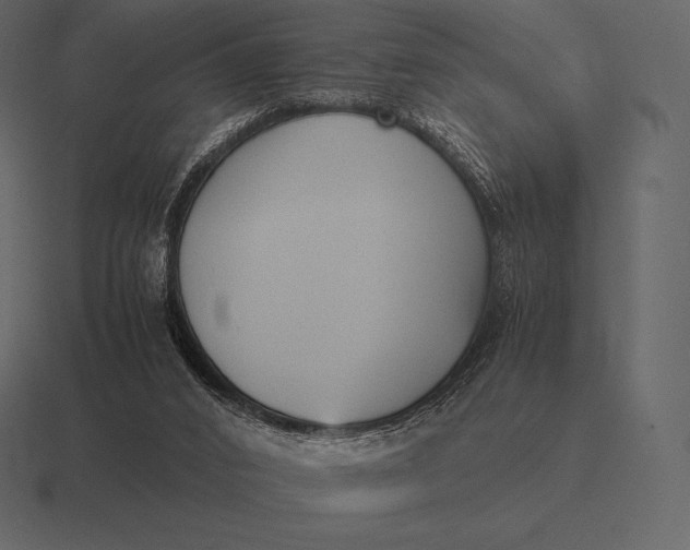 X0000116560016200912241623